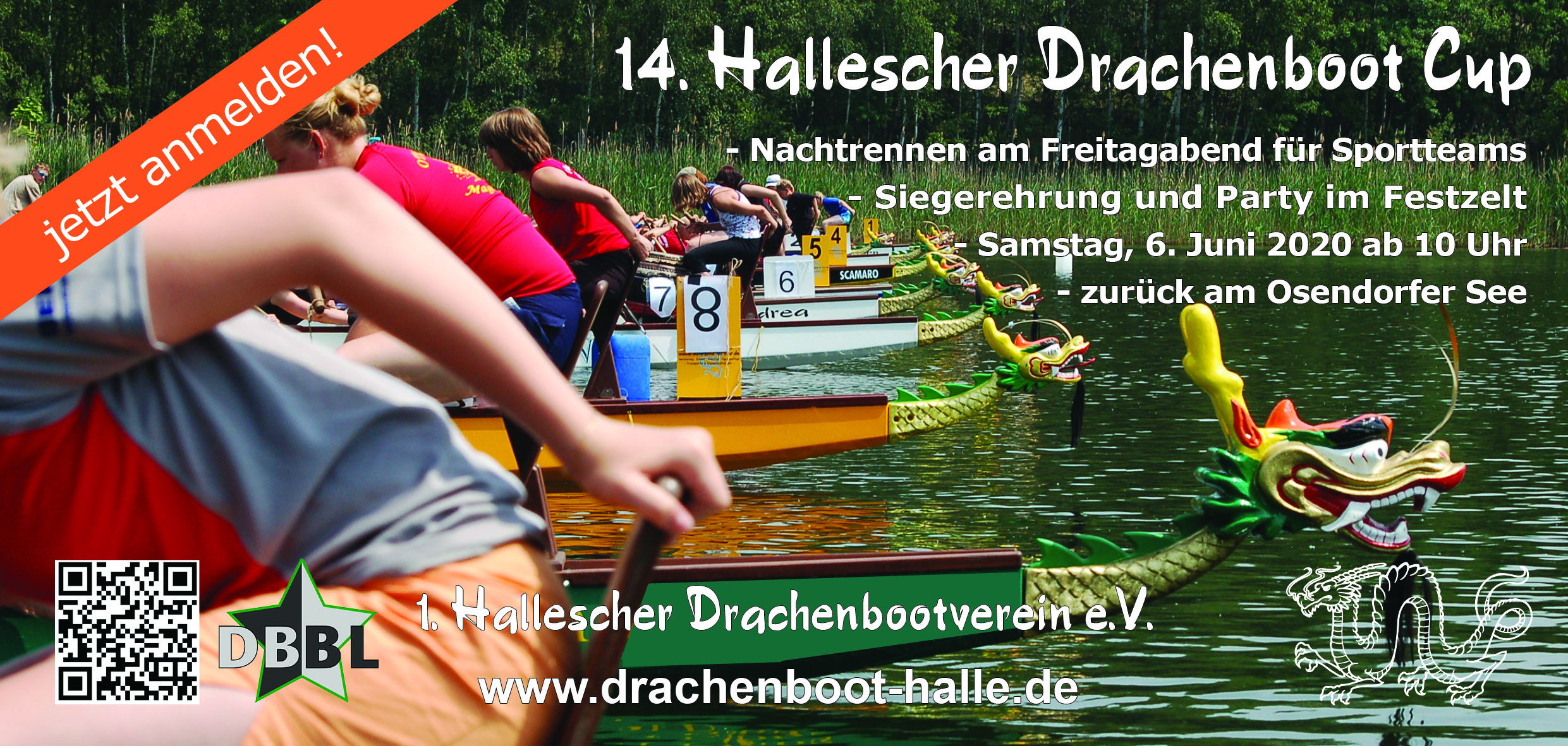 Pressebilder Drachenboot Cup